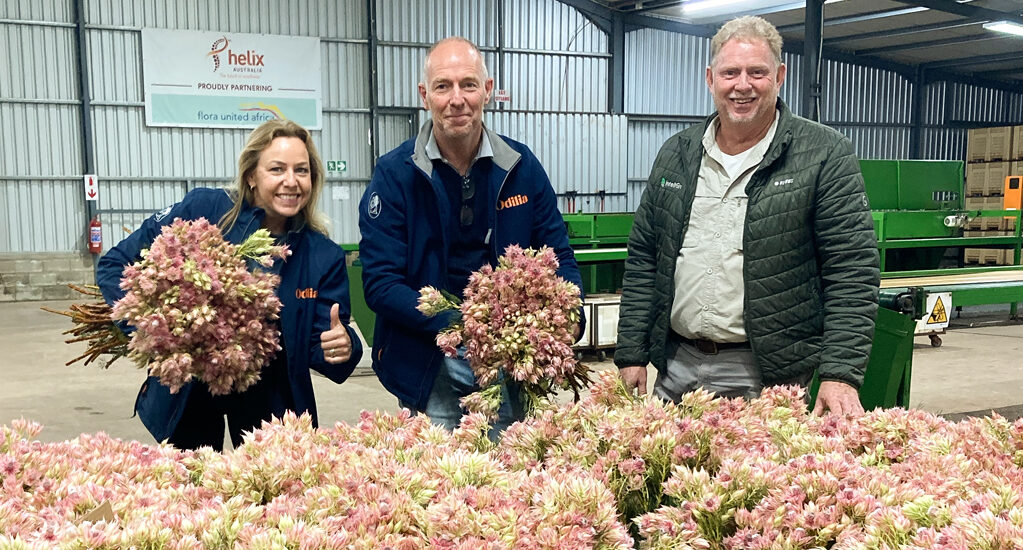 Flora United SA