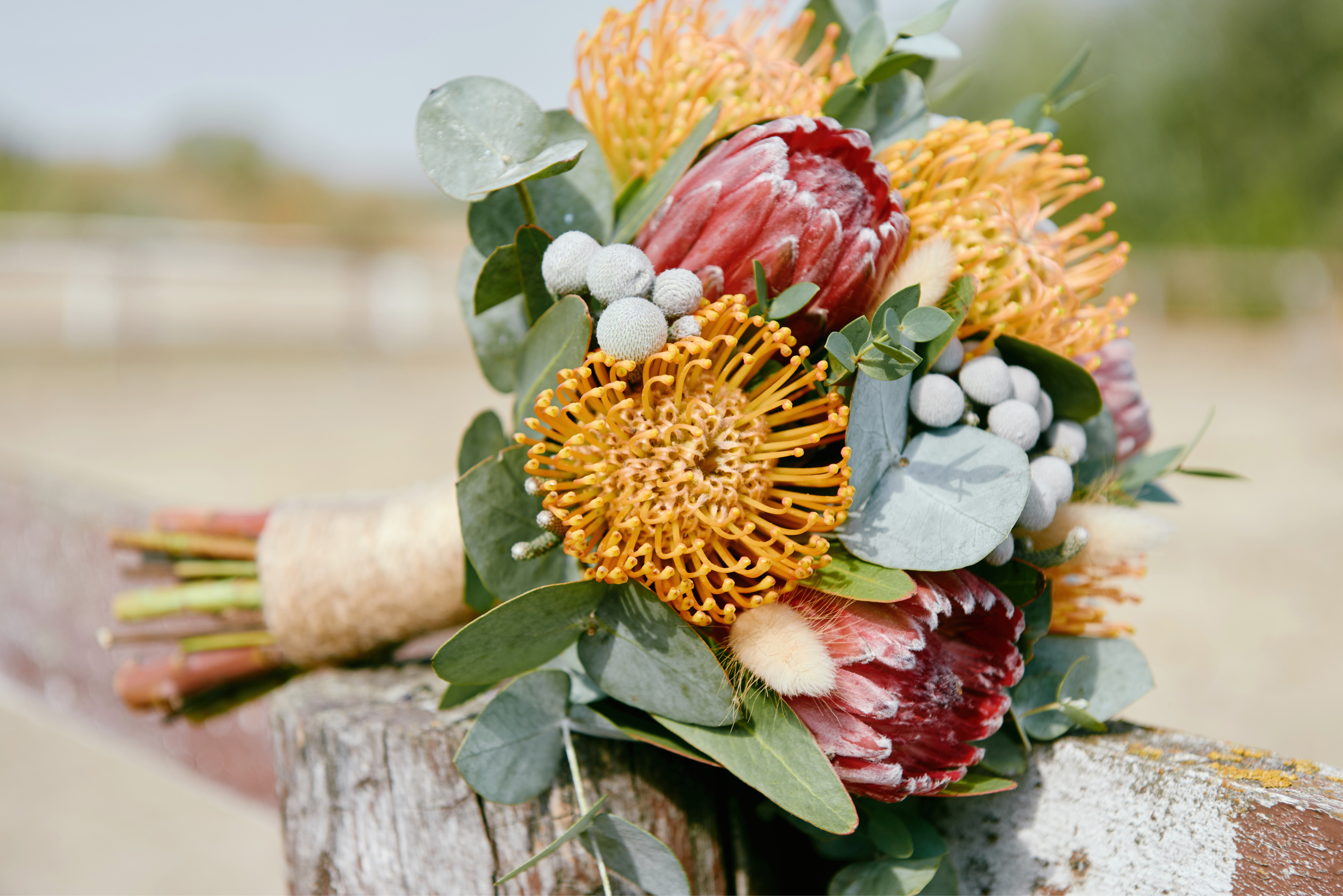 bouquet with protea and nutans