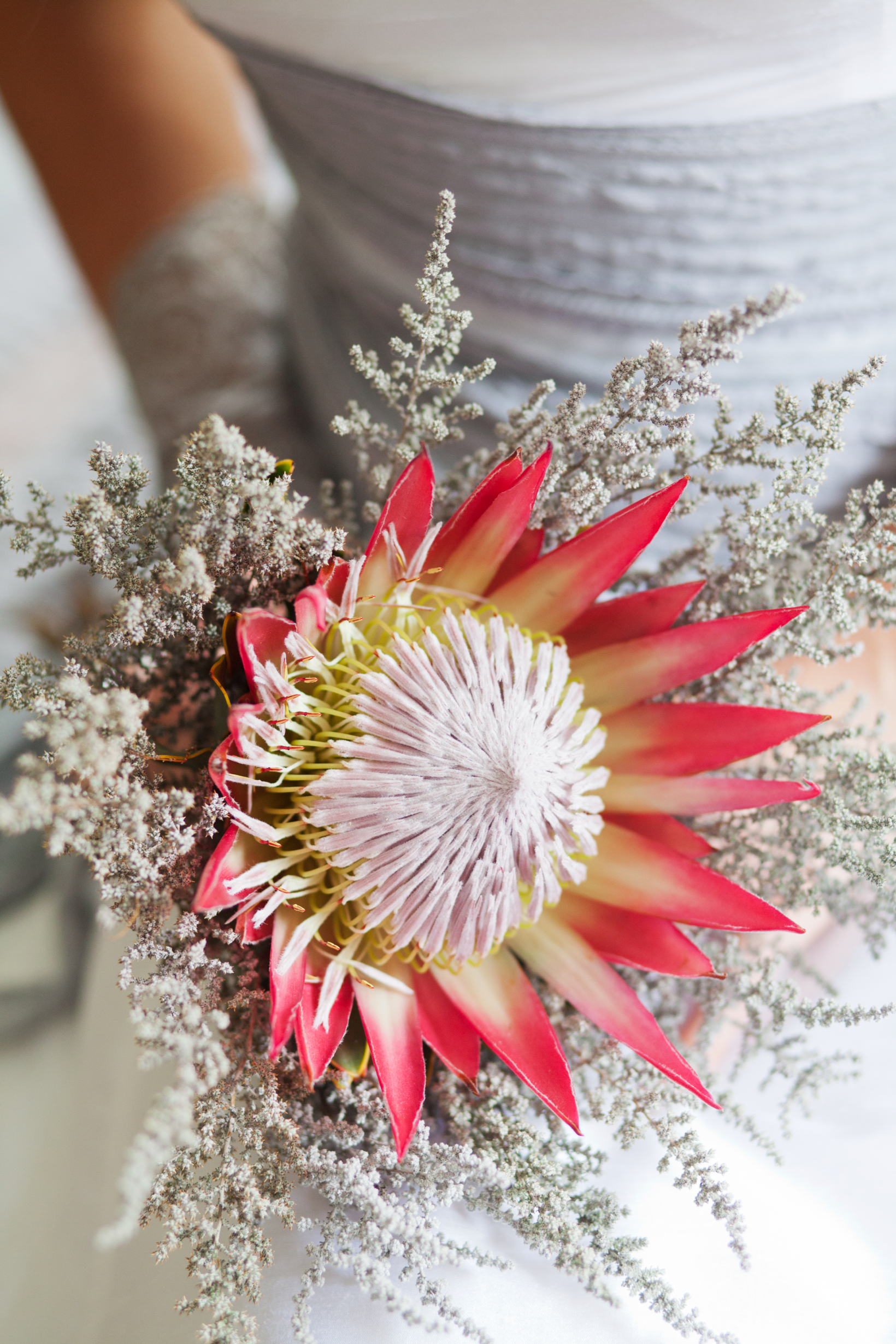 bridal bouquet protea