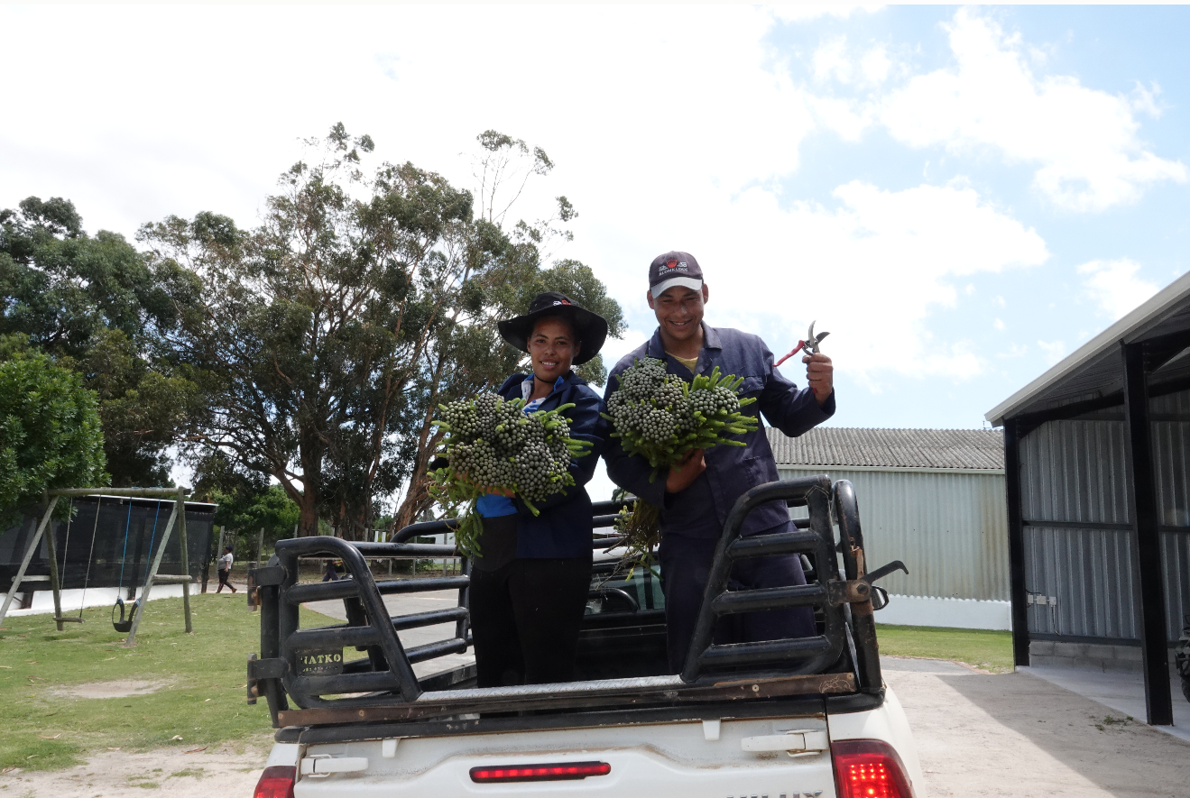 Schermafbeelding 2025-11-24 093849